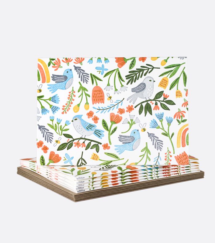 Bird Whimsy Limited Boxed Notes
