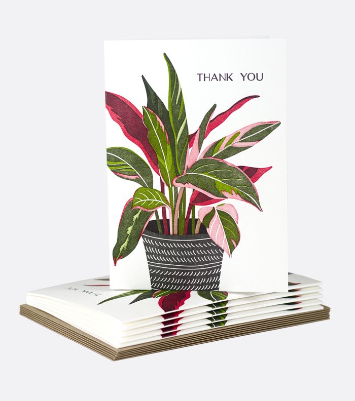 Pretty Plant Boxed Notes