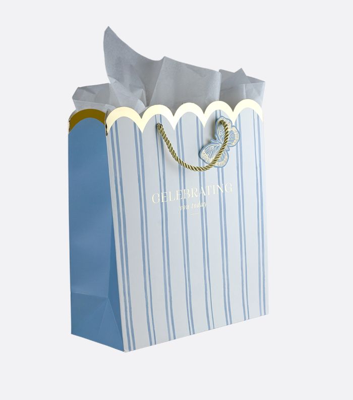 Butterfly Stripes Large Gift Bag